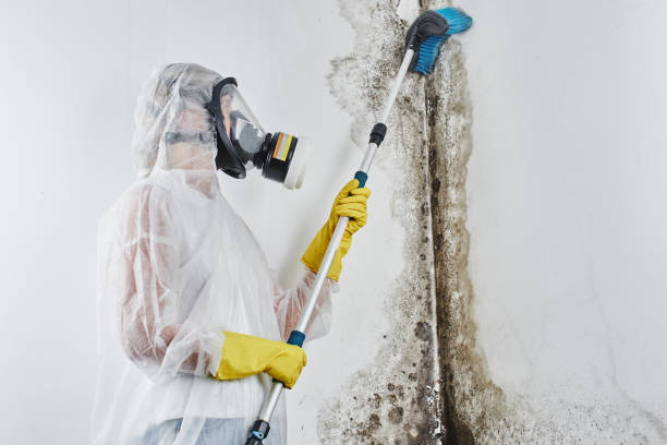 Best Mold Testing  in Miami, OK