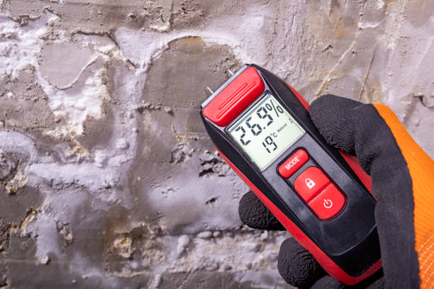 Office Mold Removal Services in Miami, OK