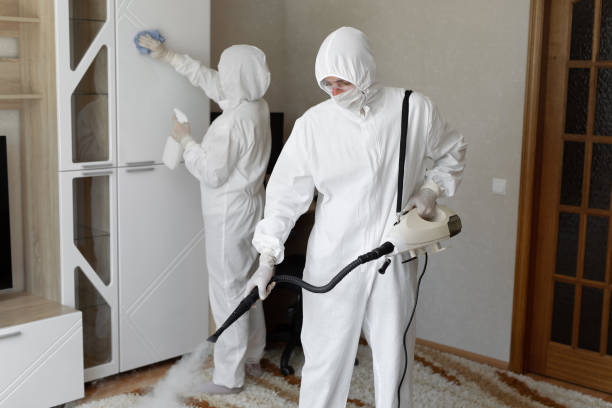 Mold Removal Process in Miami, OK