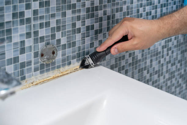 Best Mold Removal Company Near Me  in Miami, OK