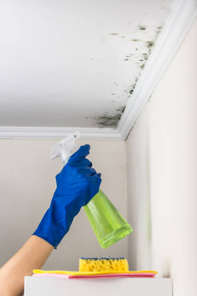 Home Mold Removal in Miami, OK